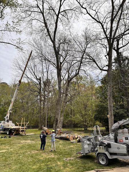 A Atlantic Tree Service