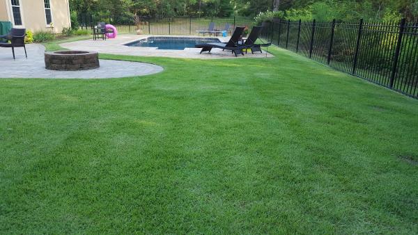 Second Nature Lawn Care and Landscaping