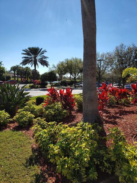 Florida Resorts Realty