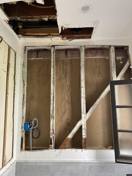A Mold Specialist