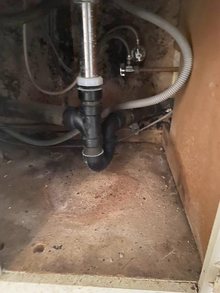 A Mold Specialist