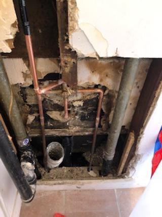 A Mold Specialist