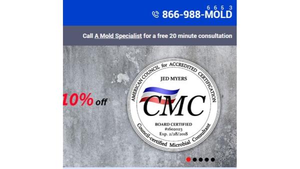 A Mold Specialist