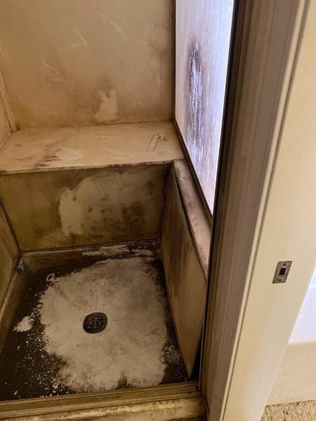 A Mold Specialist