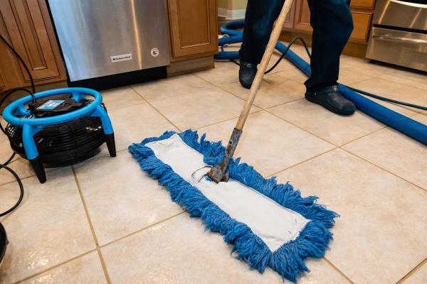 Professional Carpet & Tile