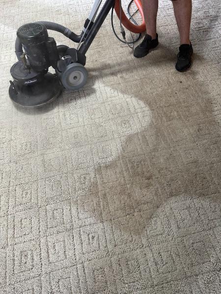 Northern Colorado Carpet Cleaning