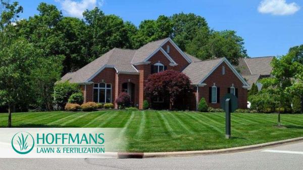 Hoffmans Lawn & Fertilization