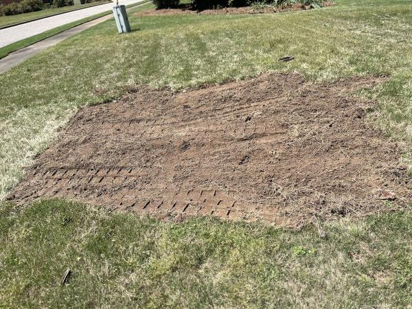 Capital City Stump Grinding