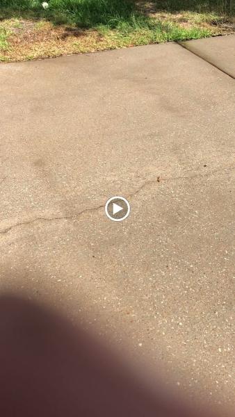 Twymans Mill Pressure Washing