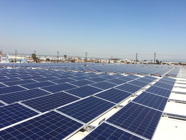 Suncity Solar