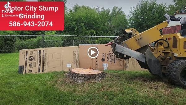 Motor City Stump Grinding