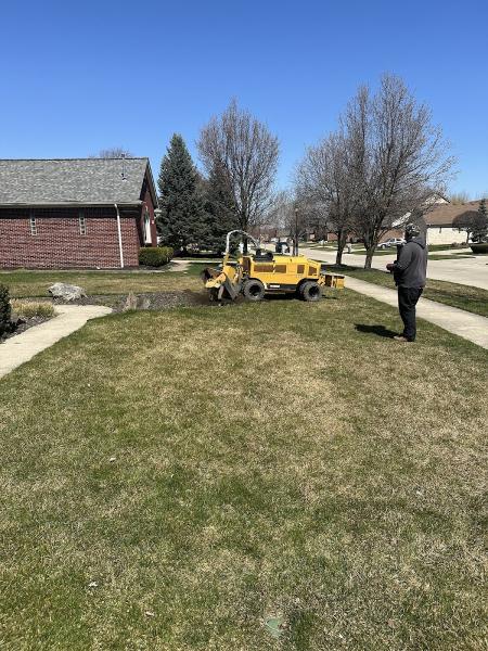 Motor City Stump Grinding