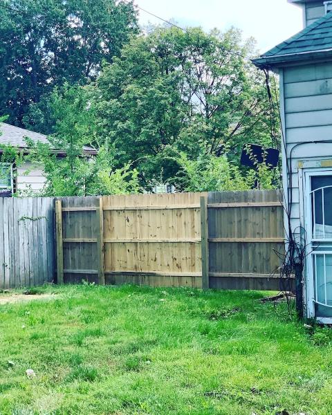 Motor City Stump Grinding