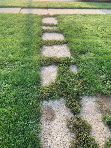 Propel Landscape Management