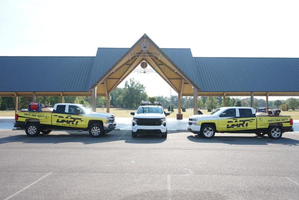 Dart Pest
