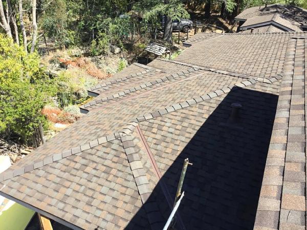 Pro Roofing