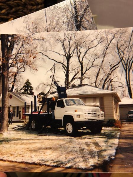 616 CUT Tree