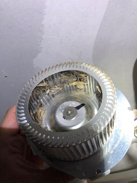 Service Experts Heating & Air Conditioning