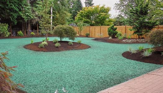Myrice Landscape & Design