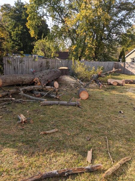 Cousin's Tree Service