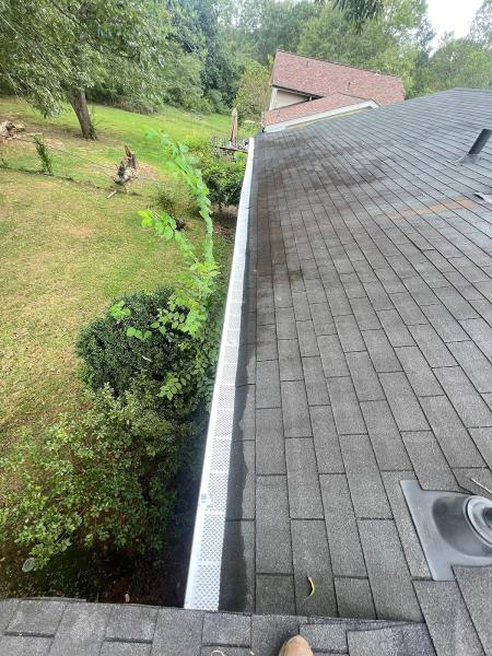 Pina Pro Landscaping Design