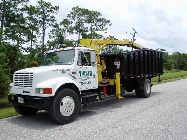 Timber Tree Company