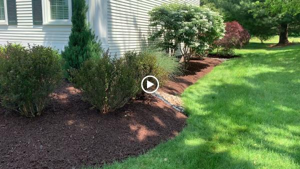 CT Master Lawn & Services LLC
