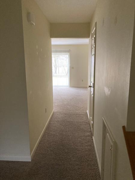 White Glove Carpet Cleaner