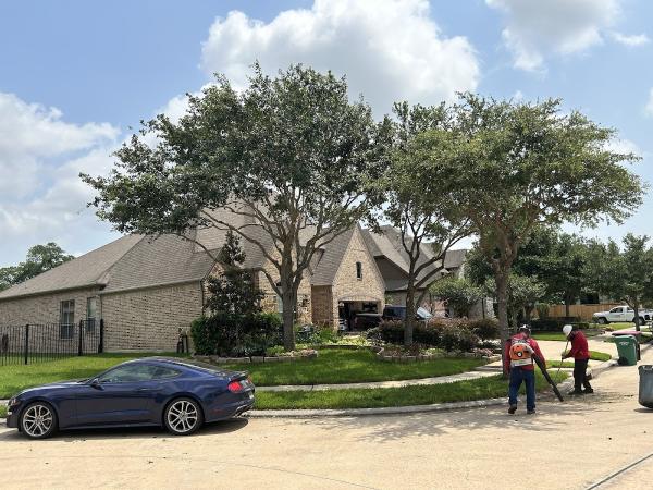 Simpsons Tree Service