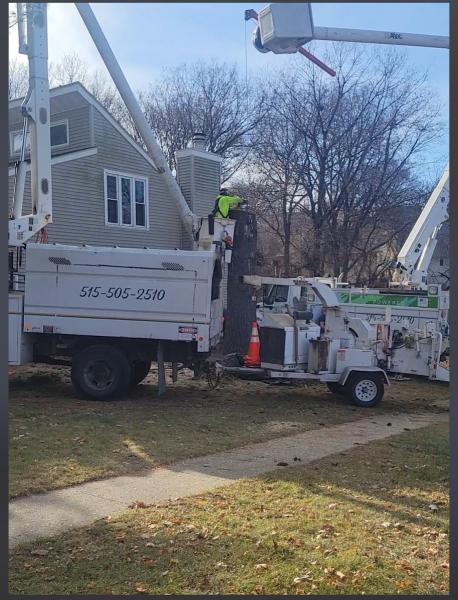 Southern Accent Tree Service