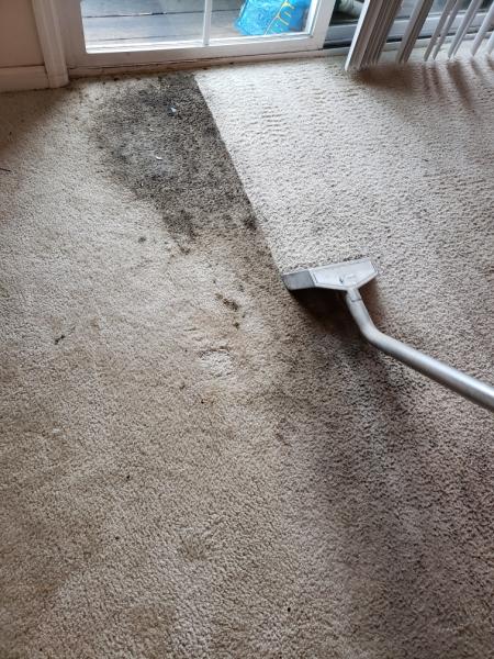 A Step Ahead Carpet and Upholstery Cleaning Inc.