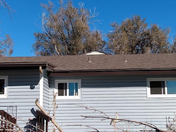 Black N White Roofing & Exteriors