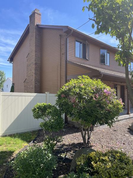 Neal's Painting