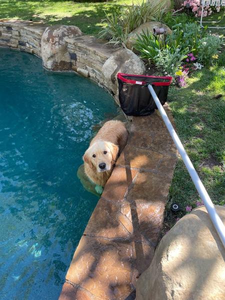 Aloha Pools & Spa