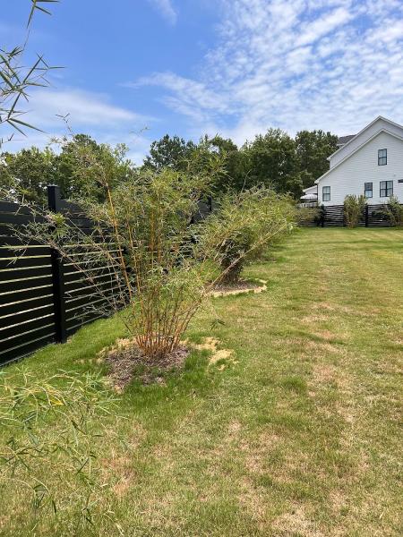 Brightside Bamboo Inc. Nursery & Landscaping