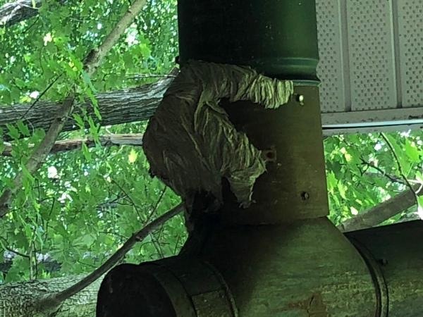 Simply Pest Control Solutions LLC