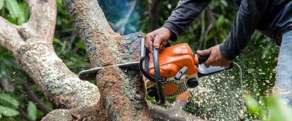 Aaron Orlick's Tree Service LLC