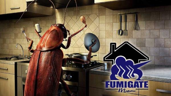 Fumigate Miami