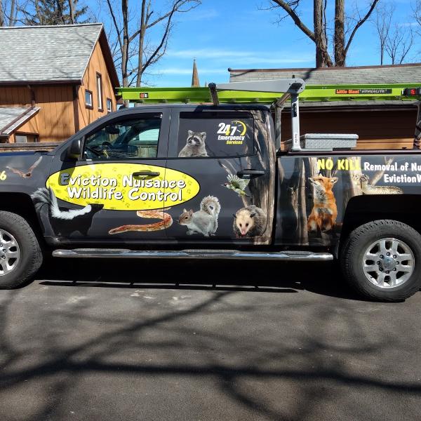 Eviction Nuisance Wildlife Control