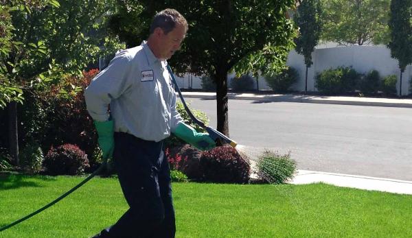 Guardian Lawn Care