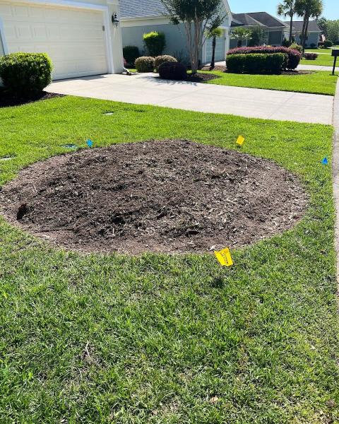 J.K. Williams Stump Grinding