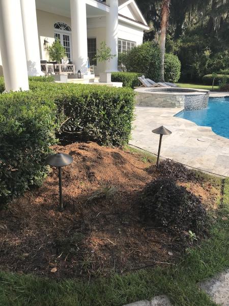 J.K. Williams Stump Grinding