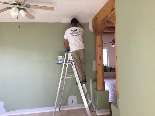 MSD Painting Services