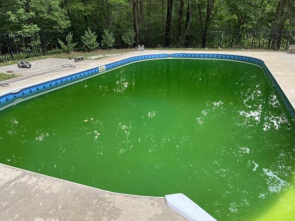 Tried & True Pool Company LLC