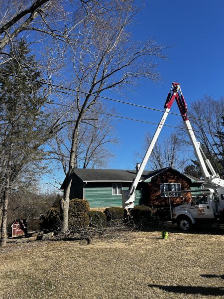 Warrensburg Tree Care
