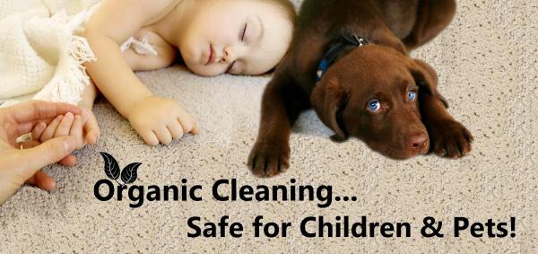 Top Dog Cleaning Crew
