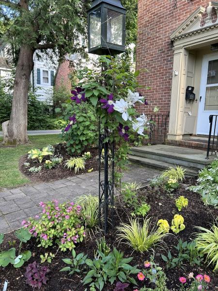 First Green Landscapes