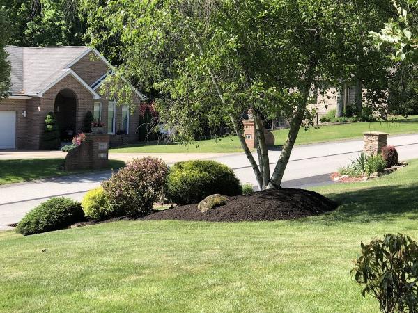Ballyhoo Lawn Care LLC