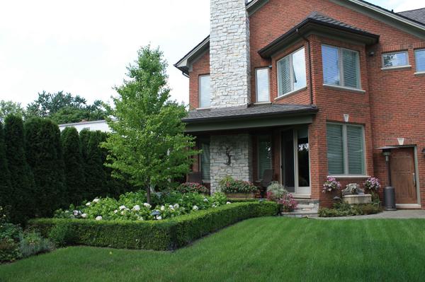 Visionary Landscaping