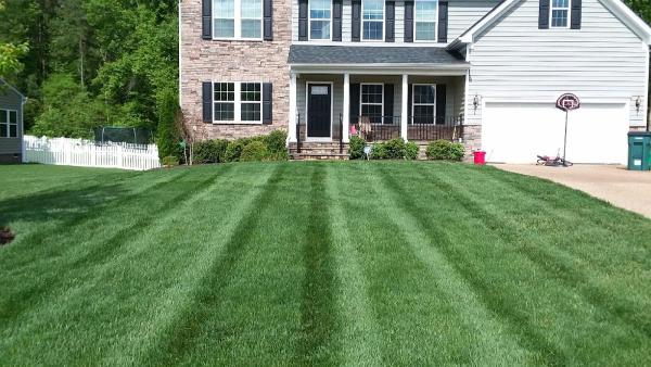 Weeded! Lawn Service